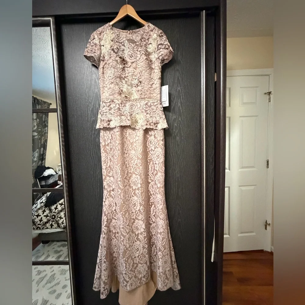 JS Collections Blush Color Lace Gown - Picture 5 of 16